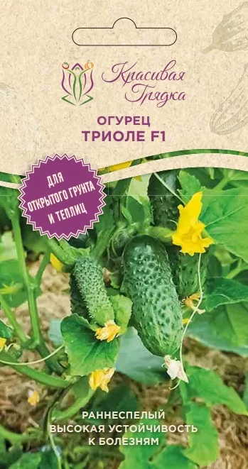 Огурец Триоле F1 (Красивая Грядка)
