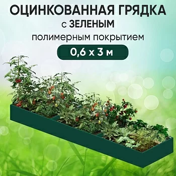 Грядка зеленая (0,6 х 3)