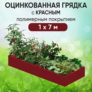 Грядка красная (1 х 7)