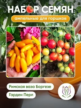 Набор семян "Ампельные для горшков"