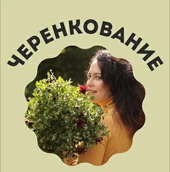 Подарок: Гайд: Черенкование (в электронном виде)