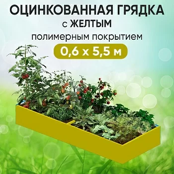 Грядка желтая (0,6 х 5,5)