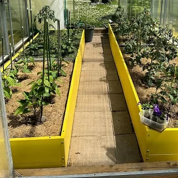 Высокая желтая грядка (0,6 х 2,5)